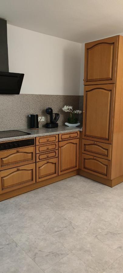 Schoene Und Optimal Gelegene Wohnung Og Weisskirchen Buitenkant foto