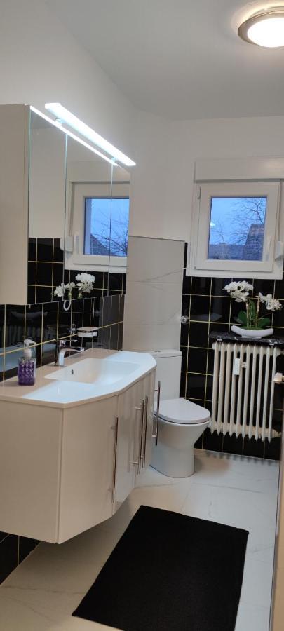 Schoene Und Optimal Gelegene Wohnung Og Weisskirchen Buitenkant foto